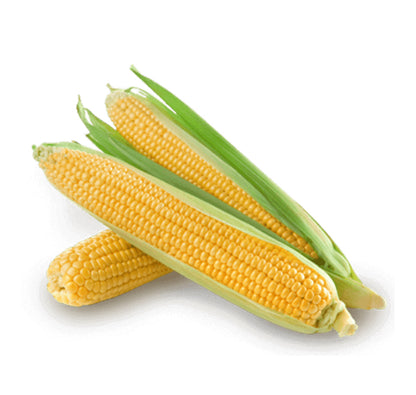 COMBO SESSION MONSTER SWEET CORN